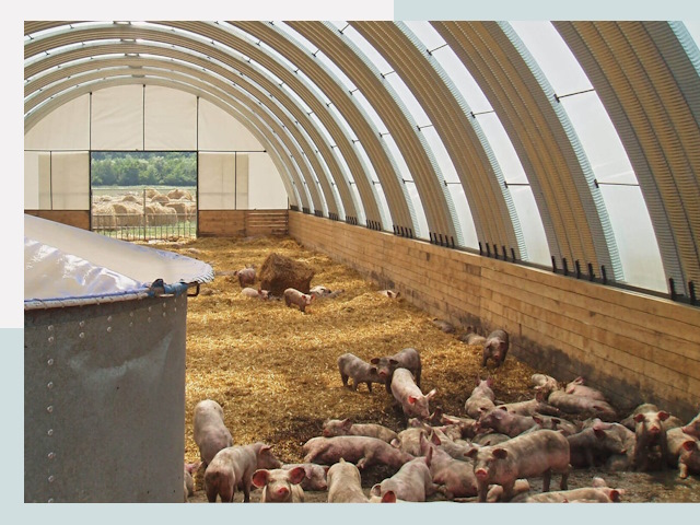 Строительство свинарников в Красноярске