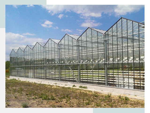 Строительство теплиц в Красноярск от 610 руб. за м²